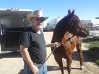 horse transport NE to AZ